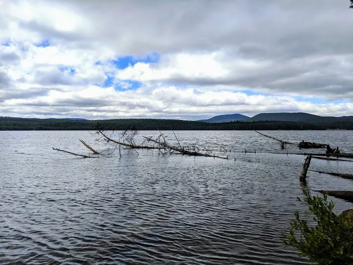 Meditation Point (Timothy Lake) Campground 8