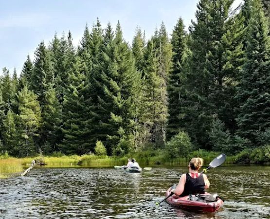 North Arm (Timothy Lake) Campground