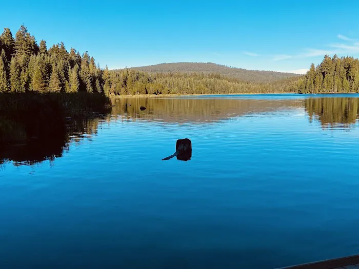North Arm (Timothy Lake) Campground 5