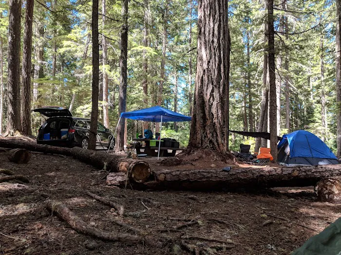 North Arm (Timothy Lake) Campground 6