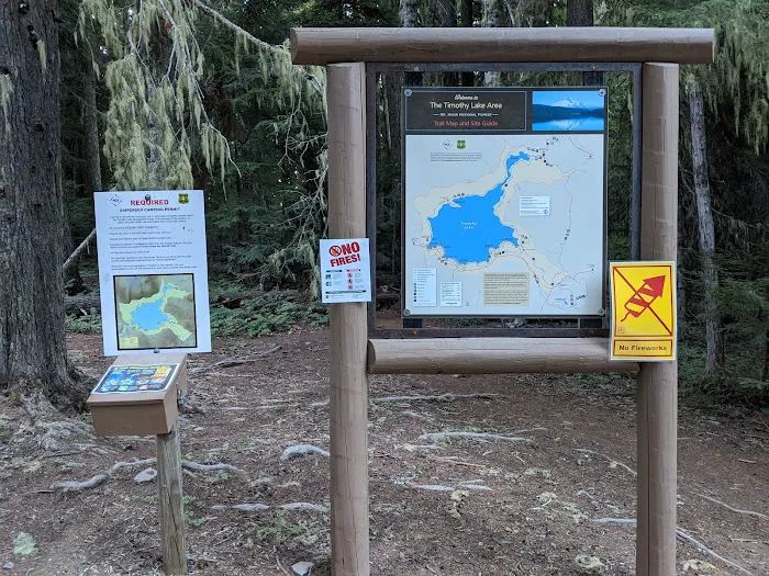 North Arm (Timothy Lake) Campground 8