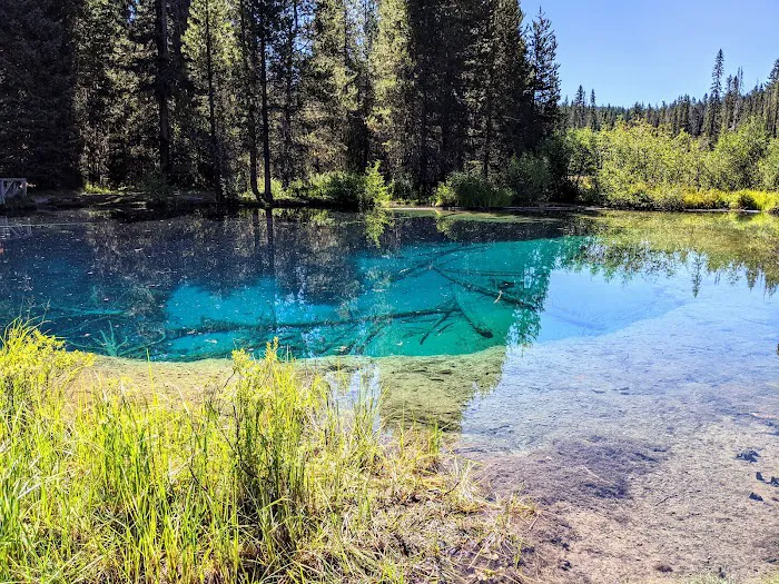 North Arm (Timothy Lake) Campground 7