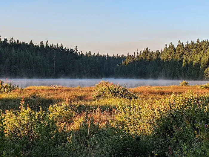 North Arm (Timothy Lake) Campground 9