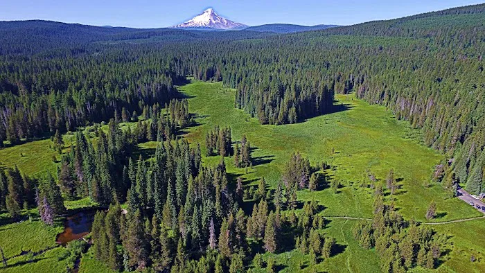 Little Crater Lake Campground 4