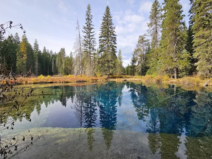 Little Crater Lake Campground 0