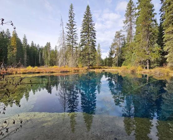 Little Crater Lake Campground