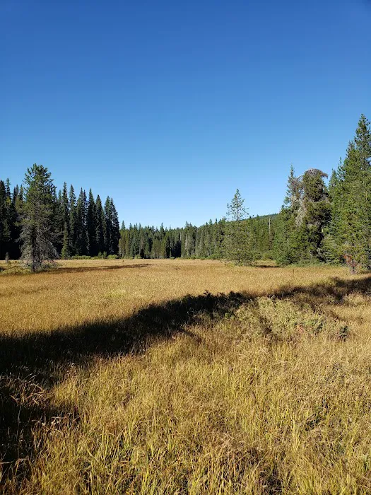 Little Crater Lake Campground 2