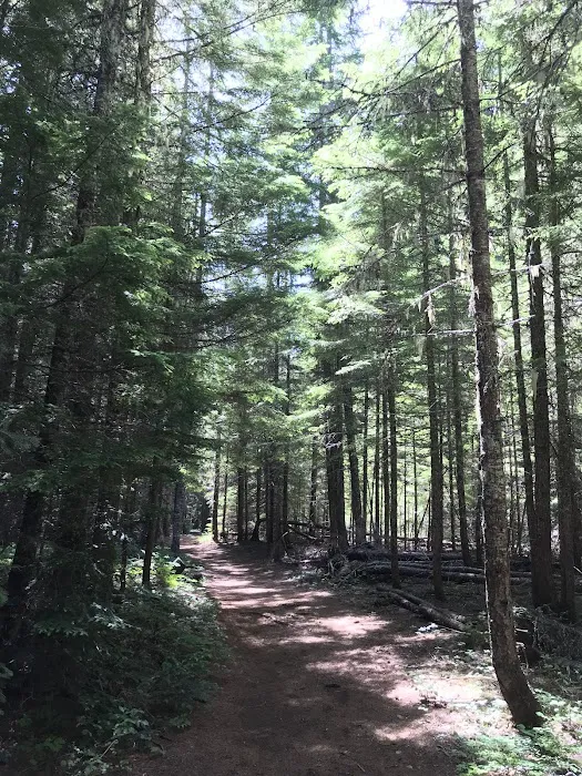 Little Crater Lake Campground 6