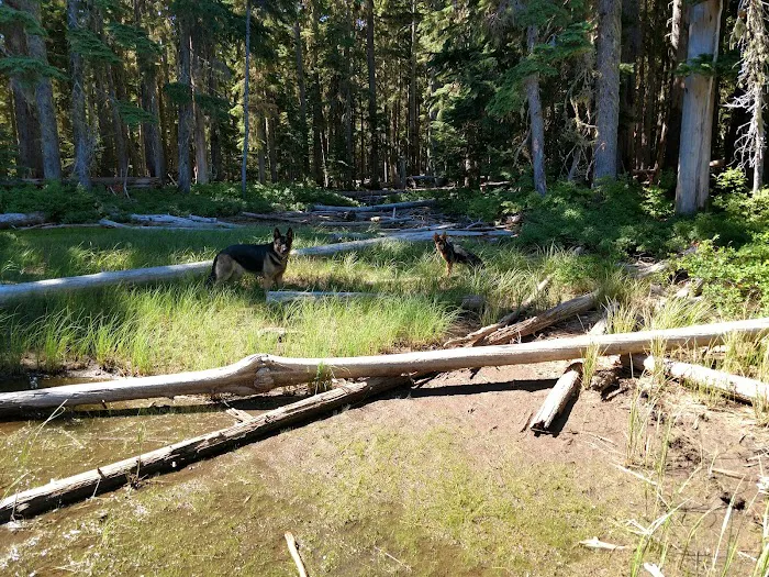 Summit Lake Campground 0