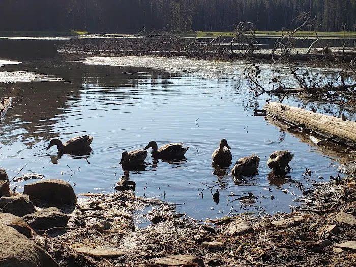 Summit Lake Campground 3