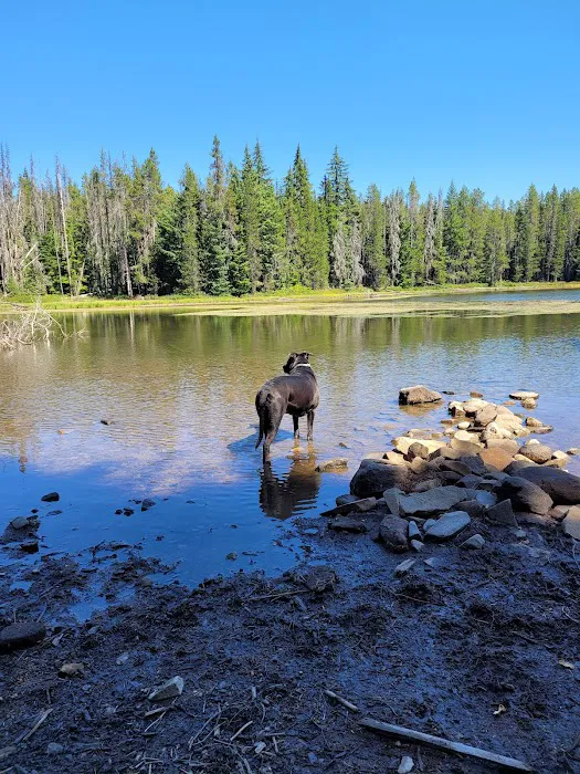 Summit Lake Campground 4