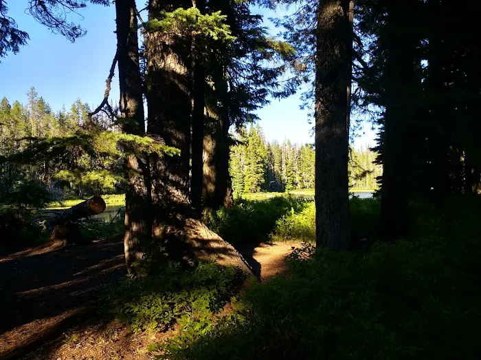 Summit Lake Campground 7