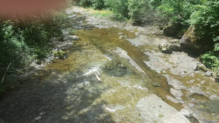 Dougan Creek Campground 7