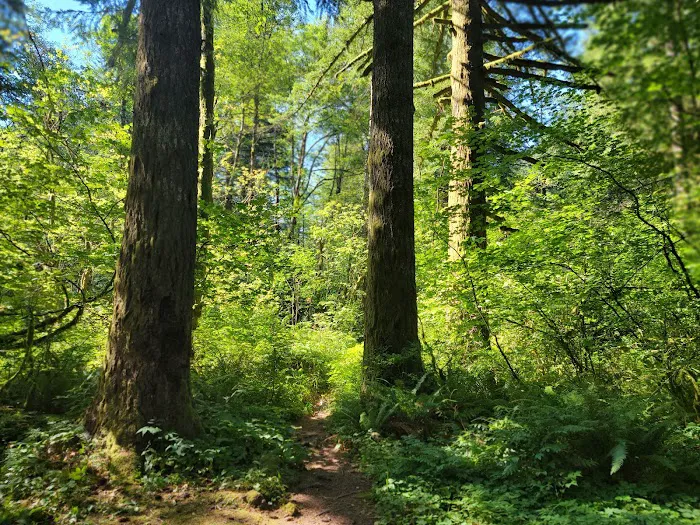Dougan Creek Campground 6