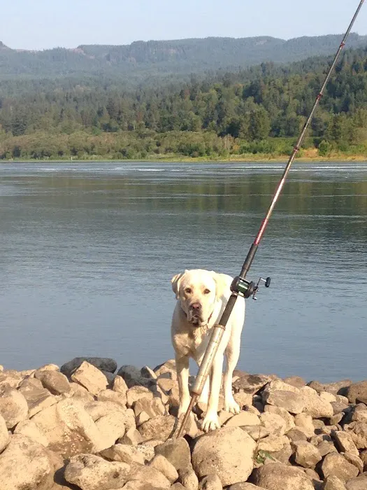 Fishery Inc 0