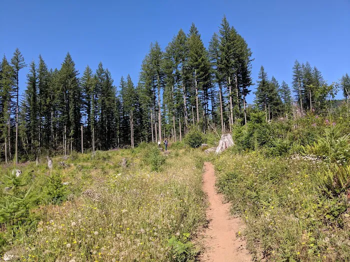 Rock Creek Campground 6