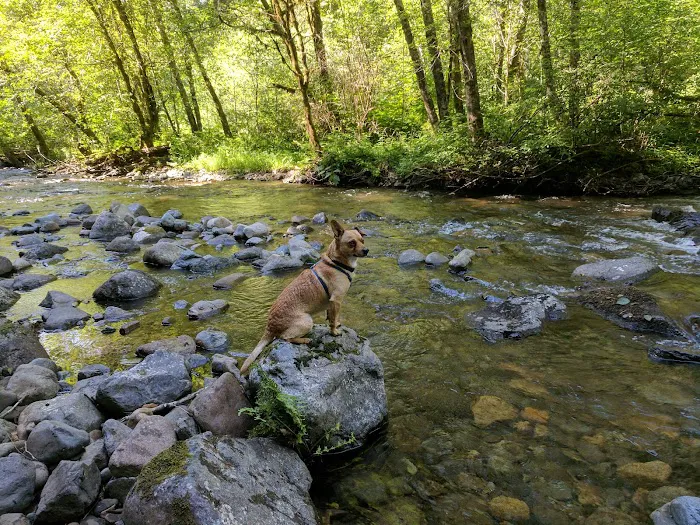 Rock Creek Campground 5