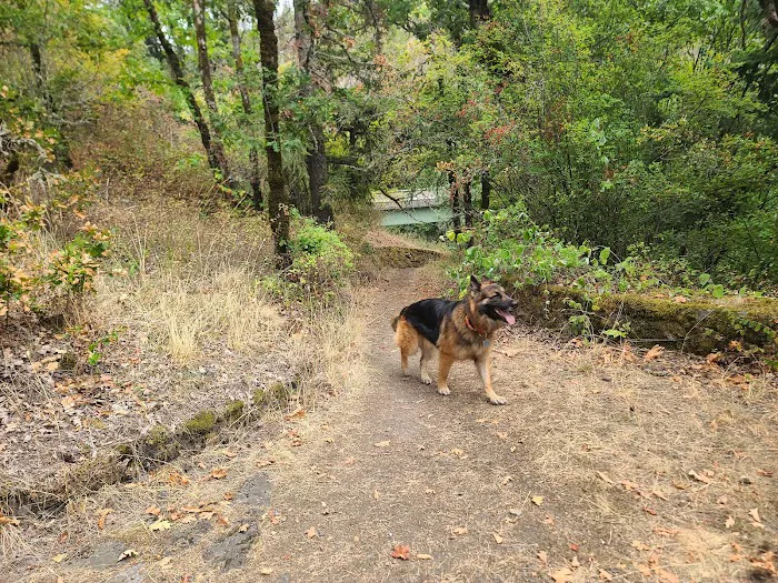 Eagle Creek Overlook Group Campground 5