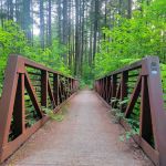 Cold Creek Campground