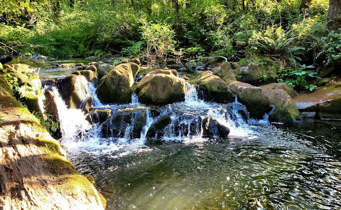 Cold Creek Campground 5