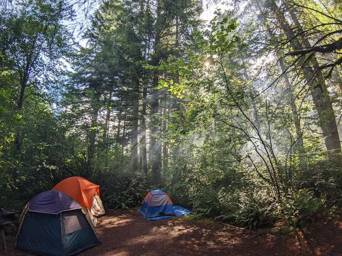 Cold Creek Campground 6