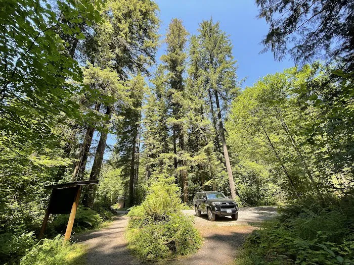 Cold Creek Campground 7