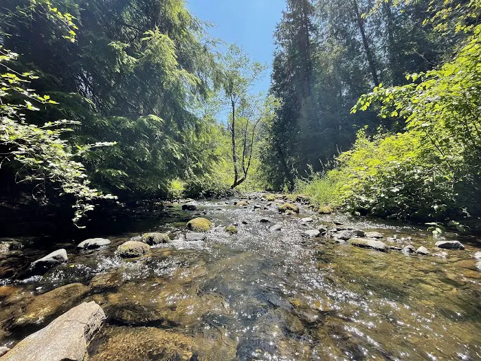 Cold Creek Campground 8