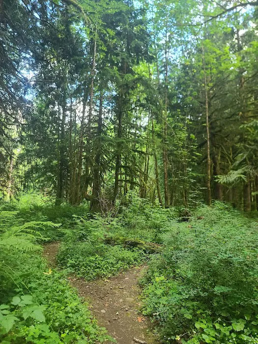Doug Fir Glen 4