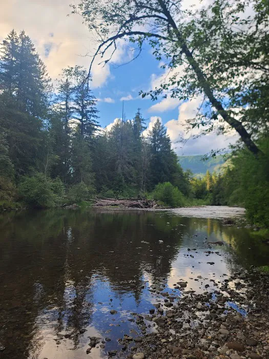 Doug Fir Glen 3