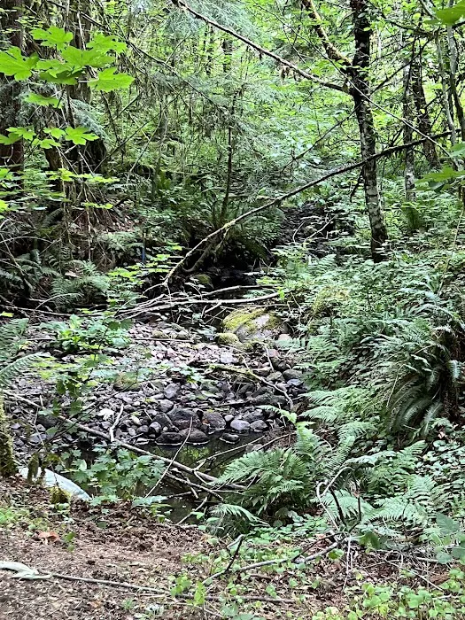 Doug Fir Glen 1