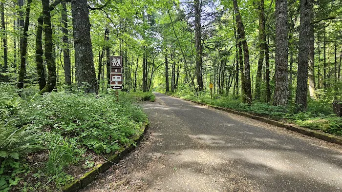 Wyeth Campground 4