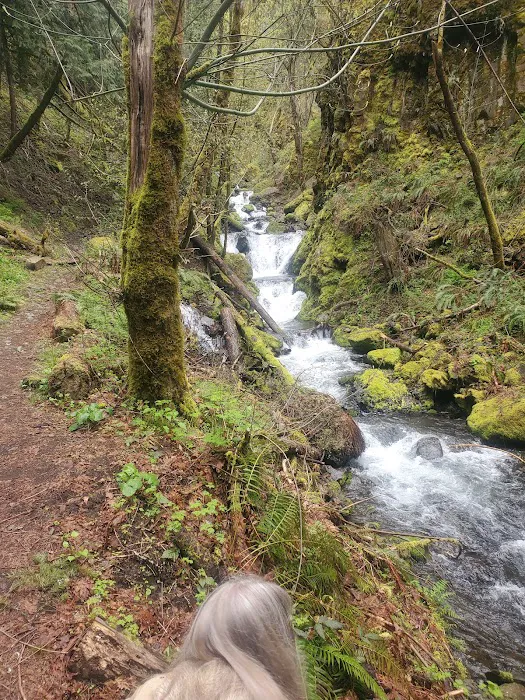 Wyeth Campground 2