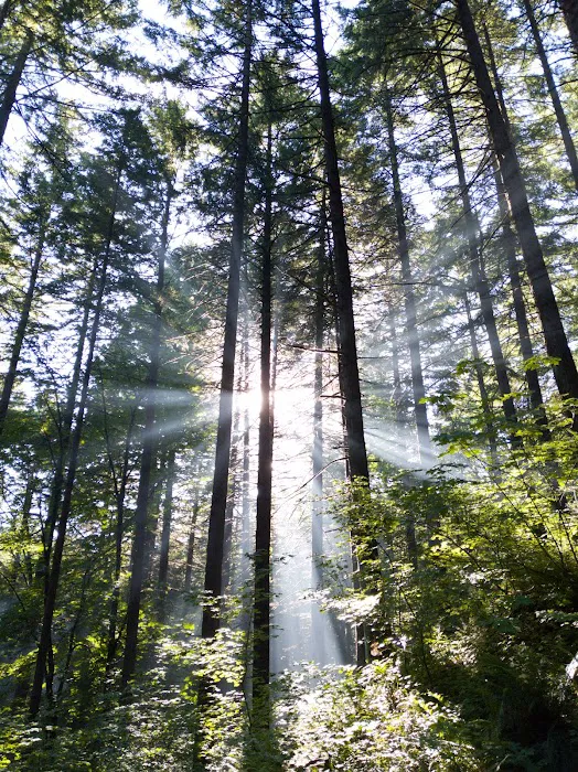 Wyeth Campground 1