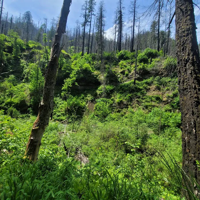 Wyeth Campground 8
