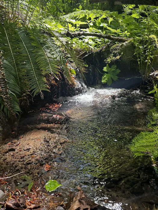 Viento State Park South Campground 9