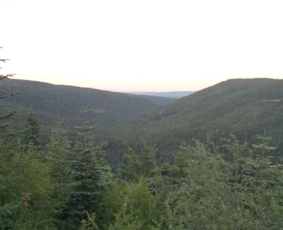 Black Lake Campground