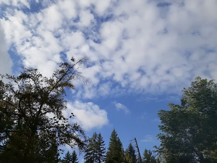 Moss Creek Campground 2