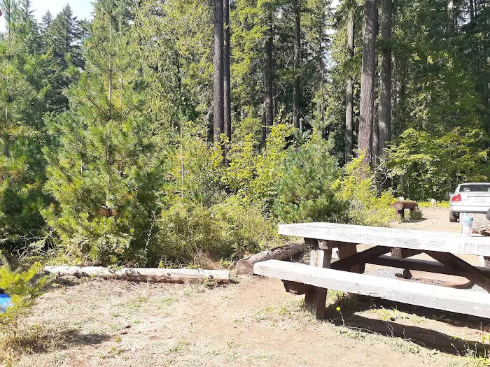 Moss Creek Campground 3