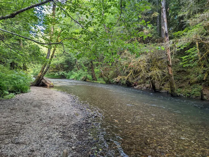 Moss Creek Campground 5