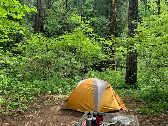 Moss Creek Campground 6