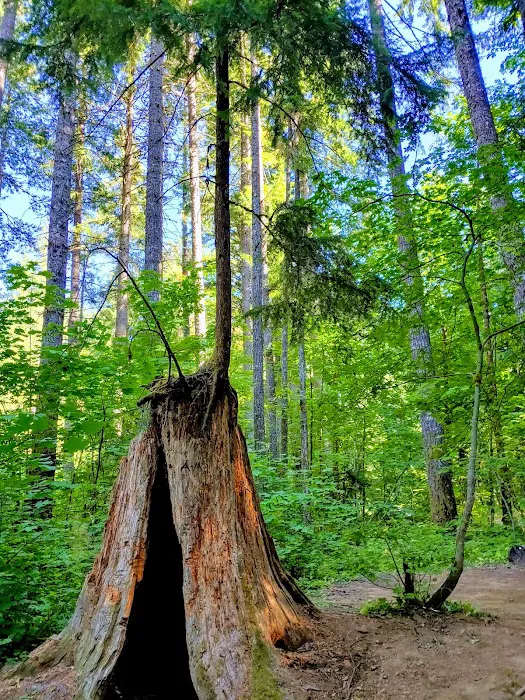 Moss Creek Campground 8