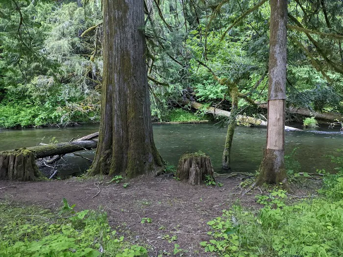 Moss Creek Campground 9