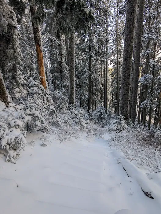 Wahtum Lake Campground 2
