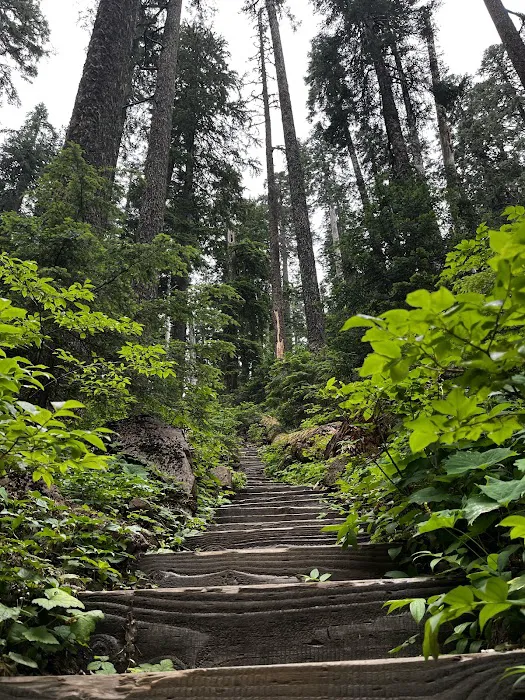 Wahtum Lake Campground 8