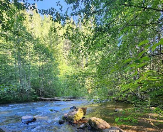 Panther Creek Campground