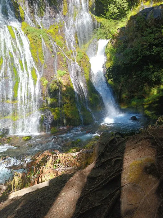 Panther Creek Campground 1