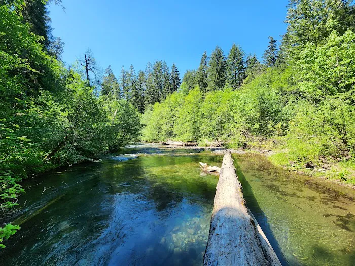 Panther Creek Campground 3