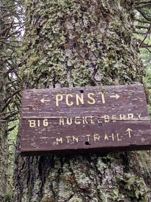 Panther Creek Campground 7