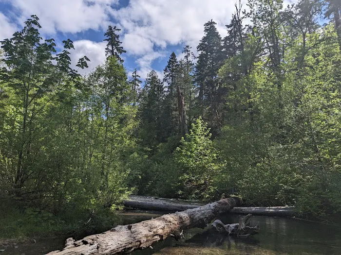 Panther Creek Campground 8