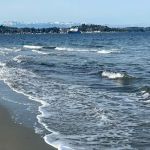 Cascade Marine Trail Campsites